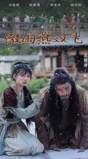 《微雨燕双飞》：一部关于女性成长与复仇的古装励志剧，看小人物如何逆风翻盘